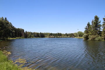 Ripples On The Lake, William Hawrelak Park, Edmonton, Alberta