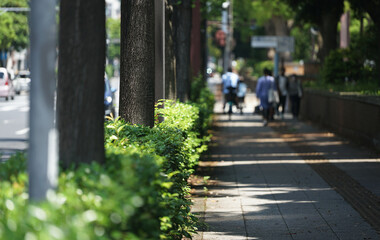 Obraz premium walking in the street