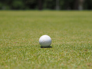 Golf ball on the green background. 
