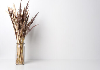 Ears of wheat in the glass vase on white (light) background
