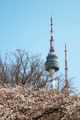 Fototapeta premium 남산