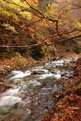 秋の渓谷（西沢渓谷）