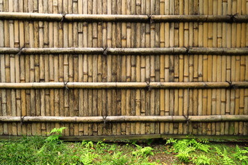 民家の古い竹垣と夏草
