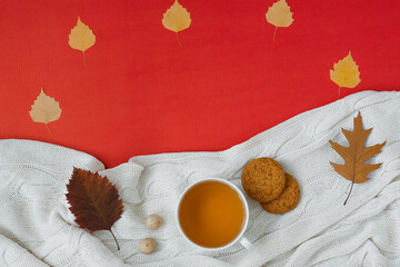 Autumn flat lay composition. A cup of tea, a knitted blanket, autumn dry leaves, oatmeal cookies on a red background top view. The concept of falling