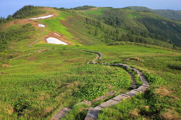 Mt.Aizukomagatake in summer 夏の会津駒ケ岳トレッキング