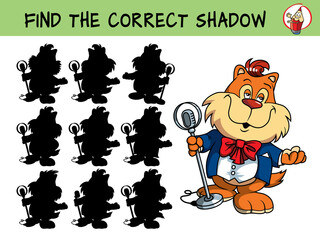 Pop star. Singing cat. Find the correct shadow