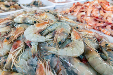 Seafood on ice at the fish market in Panama City, Panama. 