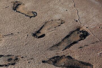 Fototapeta na wymiar Footprint in the sand.Black mud on gray.Background
