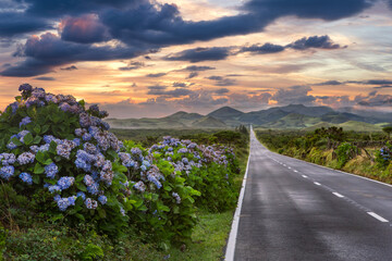 Eindeloze weg naar de bewolkte bergen en heuvels van Pico Island, Azoren, Portugal
