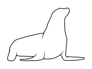 Seal Silhouette. Isolated Vector Animal Template for Logo Company, Icon, Symbol etc