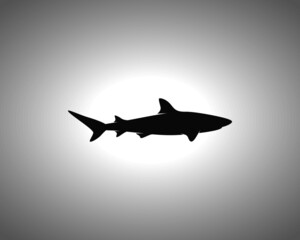 Shark Silhouette. Isolated Vector Animal Template for Logo Company, Icon, Symbol etc