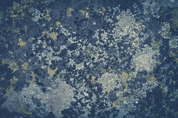 Abstract blue background. The texture of a large mountain stone is covered with moss.