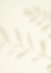 Obraz premium Abstract background of shadow palm leaves.