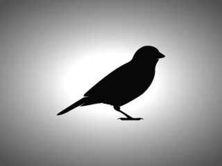 Isolated Vector Animal Template for Logo Company, Icon, Symbol etc