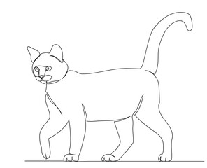 cat walking one line drawing sketch, isolated, vector