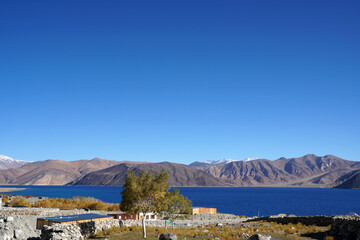 Fototapeta na wymiar Lakescape Nature Scene of Pangong tso or Pangong Lake with ้้snow mountain background is best famous destination at Leh Ladakh ,Jammu and Kashmir , India 