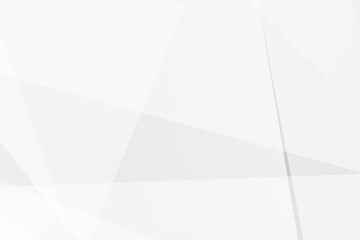 Abstract white and grey on light silver background modern design. Vector illustration EPS 10.