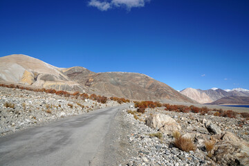 Landscape Nature Scene of Road way near Pangong Lake with Snow mountain background at Leh Ladakh ,Jammu and Kashmir , India                                                             