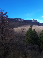 desert landscape in state