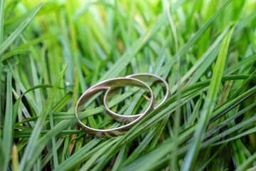 two worn golden rings, laying in tall grass. - Powered by Adobe