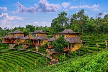 Fototapeta premium Old chinese style house in tea plantation at Ban Rak Thai the village is surrounded by mountain in Mae Hong Son, Thailand.