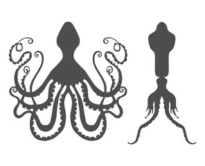 Two icons of squid and octopus made in flat style