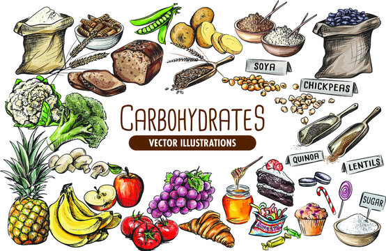 Carbohydrates collection: simple and complex carbs vector illustrations 