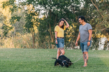 Couple talking with each other walking with their two dogs in a park