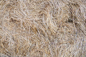 Dry straw texture, large hay stack after harvest season close up, natural background