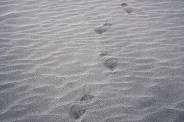 Fototapeta na wymiar Abstract Nature Scene of walking footprint on white Sand dune texture background at Hunder Sand dune Nubra Valley , Leh Ladakh , jammu and kashmir - India
