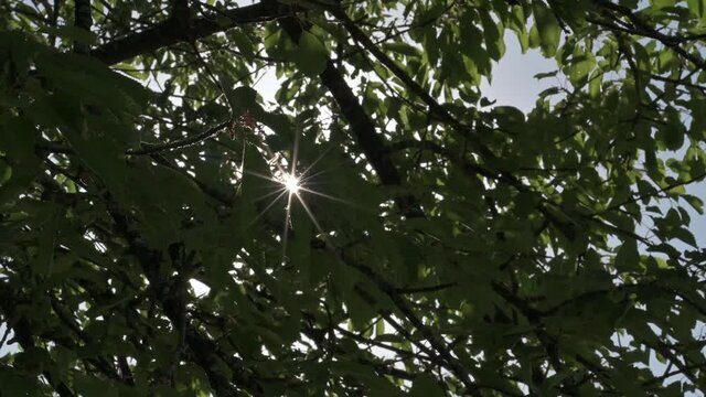 fienagione lavoro agricolo