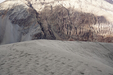 Landscape Nature Scene of Sand dune desert and Gray mountain background at Hunder Sand dune Nubra Valley , Leh Ladakh , India 
