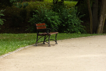 Wooden bench isolated in a city park. High quality photo