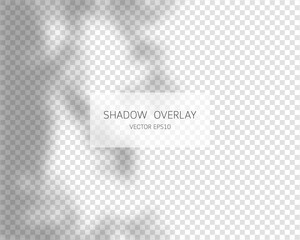 Shadow overlay effect. Natural shadows isolated on transparent background. Vector illustration. 
