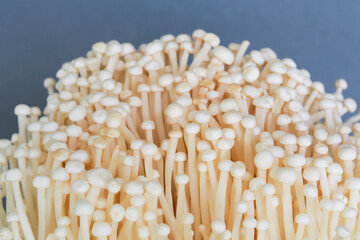 High angle view of Enokitake mushrooms on gray background. Copy space.