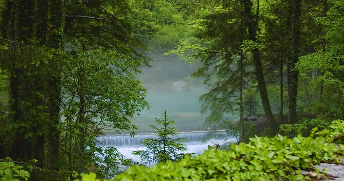 Kamni&scaron;ka Bistrica s a salmonid river which begins under a spring. Beautiful natural and one of the cleanest streams in Slovenia. Elevated view of water cascading downstream. Static shot, real time