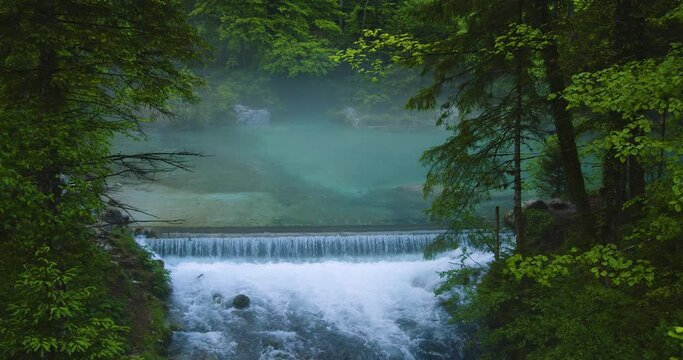 Kamni&scaron;ka Bistrica s a salmonid river which begins under a spring. Beautiful natural and one of the cleanest streams in Slovenia. Elevated view of water cascading downstream. Static shot, real time