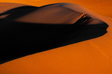 Fototapeta na wymiar desert dunes, a journey to the Sahara