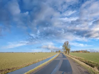 Fototapete Landschap Niehove, Groningen Province, The Netherlands © Holland-PhotostockNL