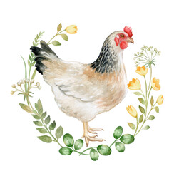 White hen, hen in a floral floral circle, ornament, decorative frame isolated on white background. Watercolor. illustration. Farm. Fresh eggs logo