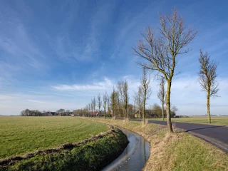Fototapete Gronings landschap bij Niehove © Holland-PhotostockNL