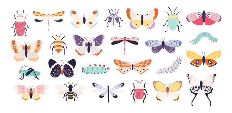 Decorative insects. Doodle beetles, butterflies, dragonflies, bee, caterpillar and grasshopper. Vintage spring bug and worm, flat vector set