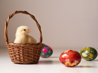 Wielkanocny kurczak w koszyku, pisanki w tle