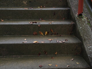 雨に濡れた階段