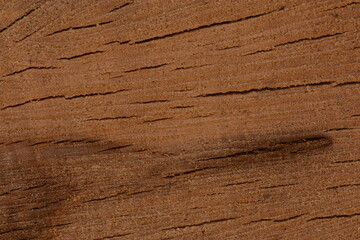 Aspen wood texture beautiful natural multicolor pattern