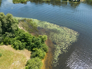 River bank in summer. Aerial drone view.