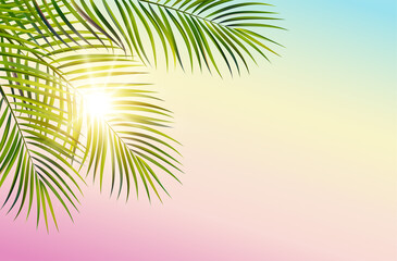 Obraz na płótnie Canvas Vector Green Leaf Palm Tree Spectrum Sky Background Sun Rays
