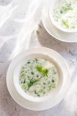 Summer refreshing cold yogurt soup, healthy meal with fresh raw vegetables and dairy ingredients