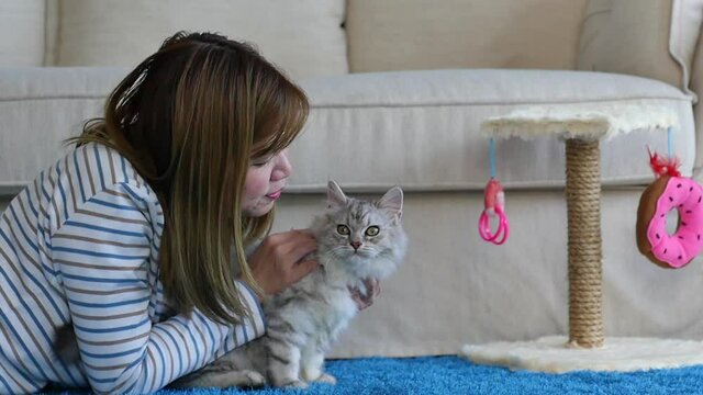 Asian Woman Playing Persian Cat In Living Room