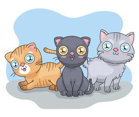 three cats cartoons
